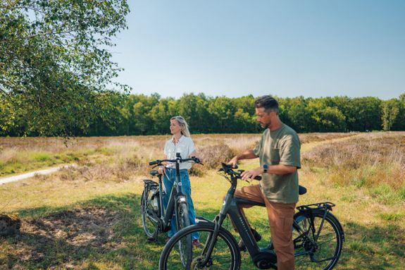Fietsen door ZWD