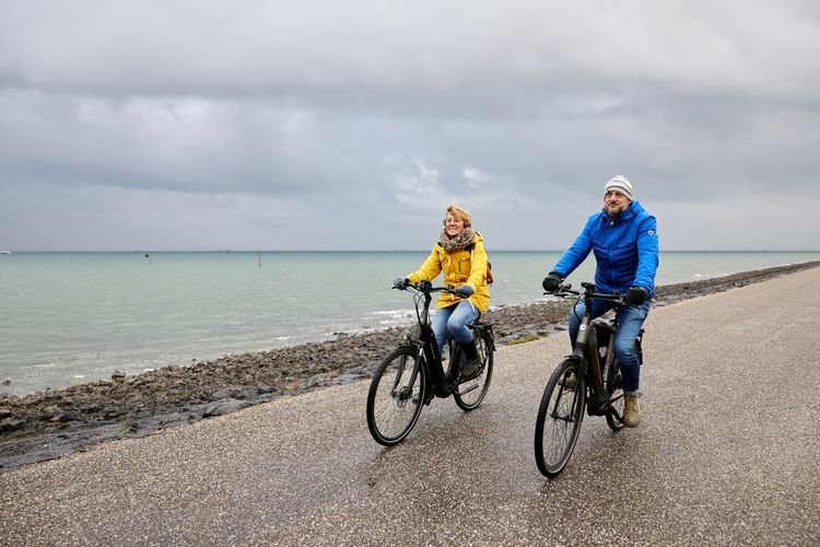Fietsers langs Oosterschelde