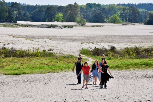 Gezin wandelt in de Soesterduinen met hun hond