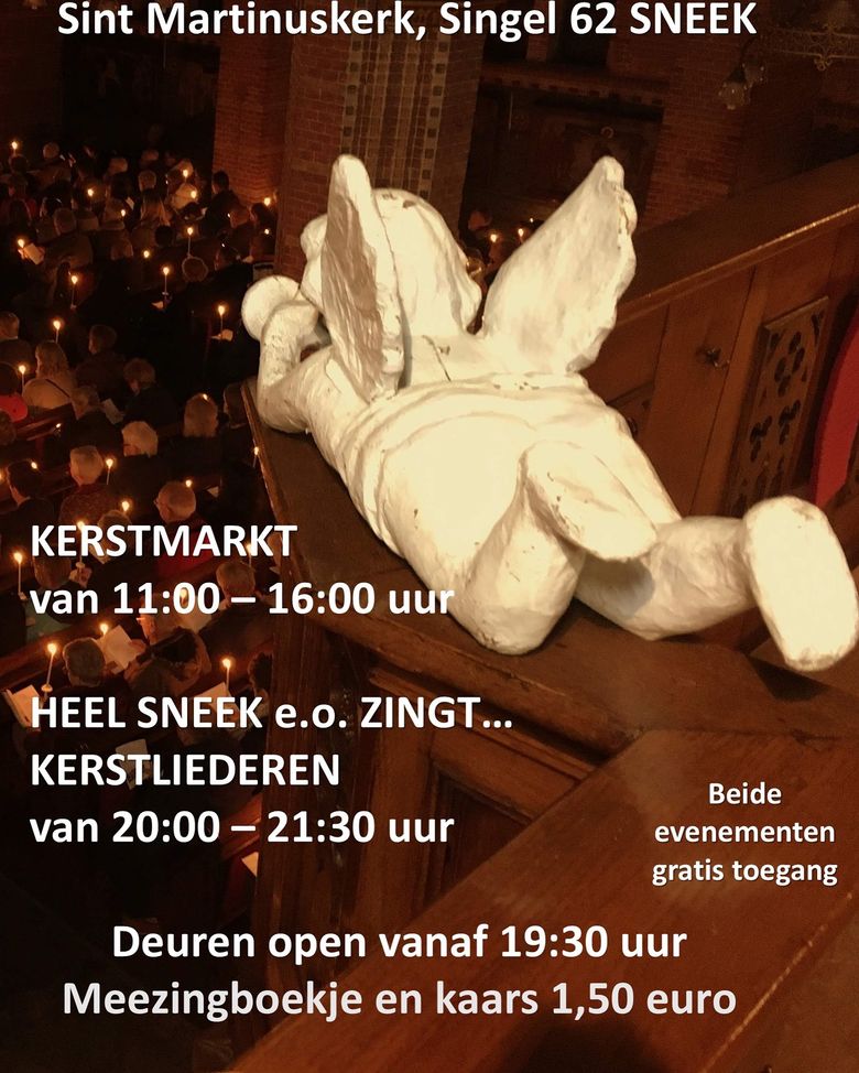 Flyer Sneek zingt