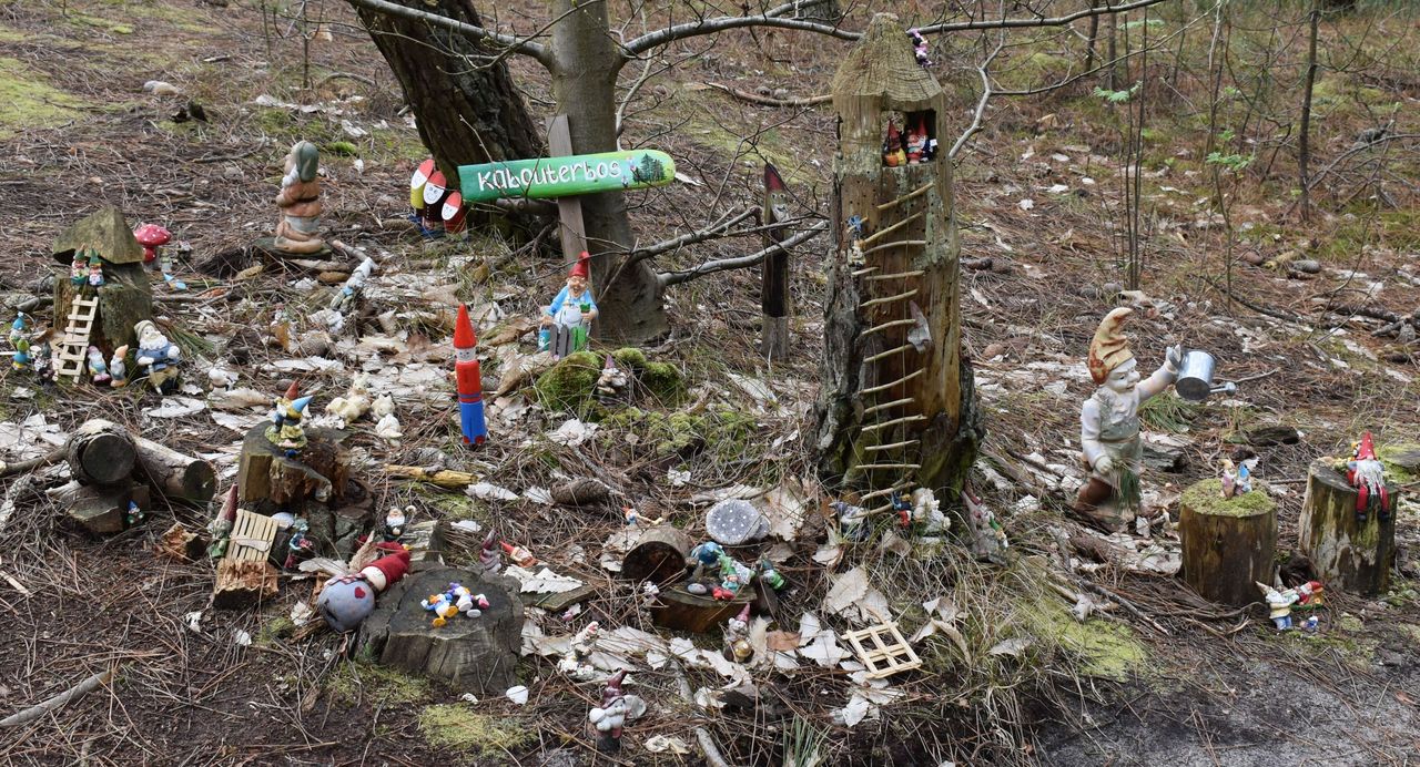 kabouterbos Vlieland header