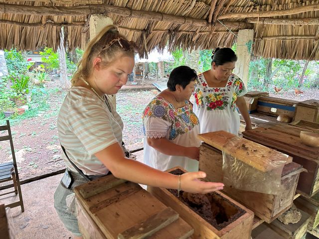 Ceremonie met bijen op hand in Mexico