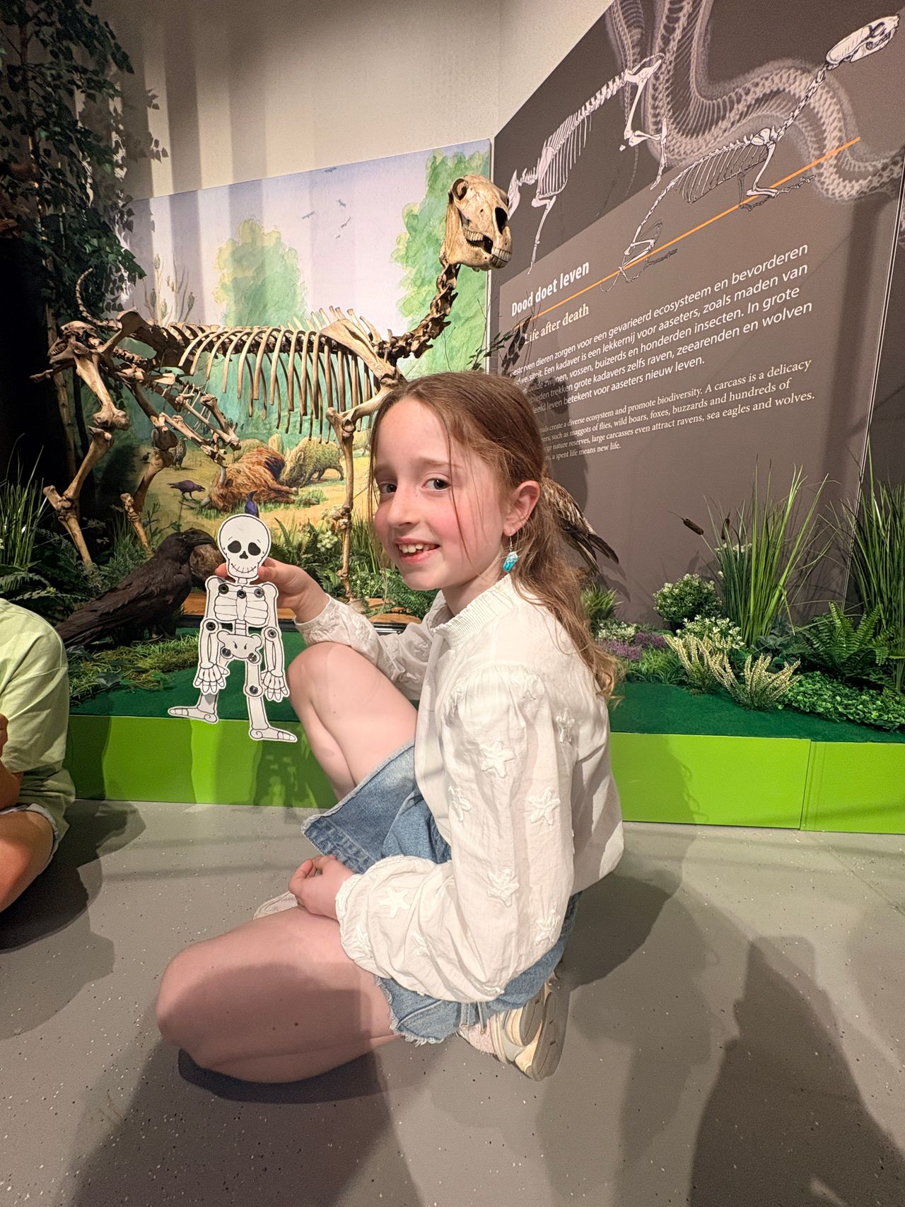 Met je met beweegbaar knutselskelet