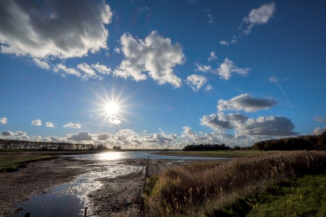 Natuurgebied Dijkwater
