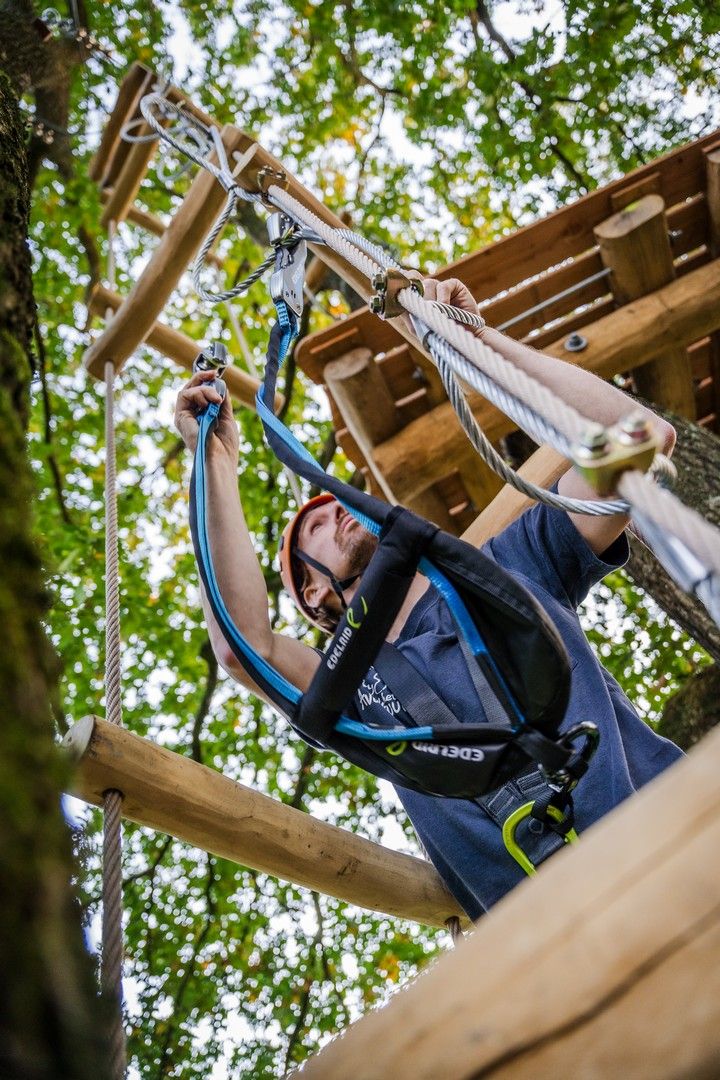 Klimbos man in boom met katrol in zijn hand