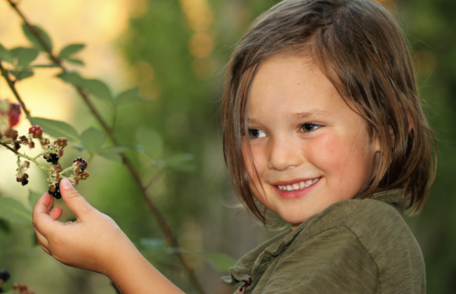 Een meisje plukt bramen in een pluktuin