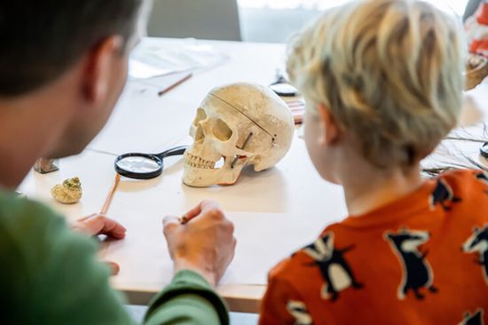 Weekendactiviteiten in het UMU