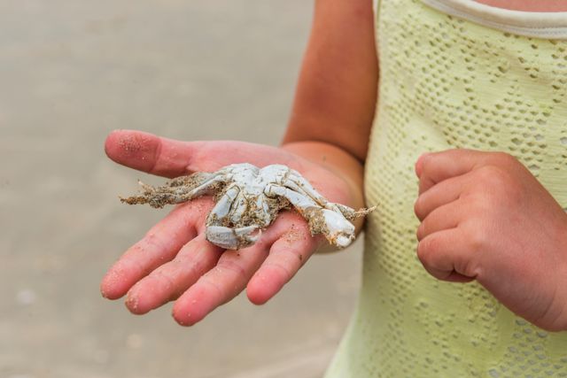Strandjutten Natuurmonumenten