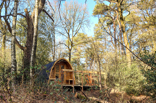 De houten overnachtings 'Pod' met houten terras op midden in de bossen van Camping Diever.