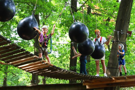 Rocks ’n Rivers Treetop Adventure Park | VisitBrabant