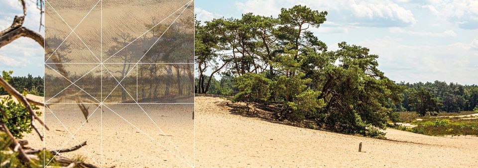 Van Gogh Nationaal Park in Noord-Brabant, een uniek landschap geïnspireerd door de werken en wandelingen van Vincent van Gogh, met aandacht voor natuurbehoud, duurzaamheid en cultuurhistorie