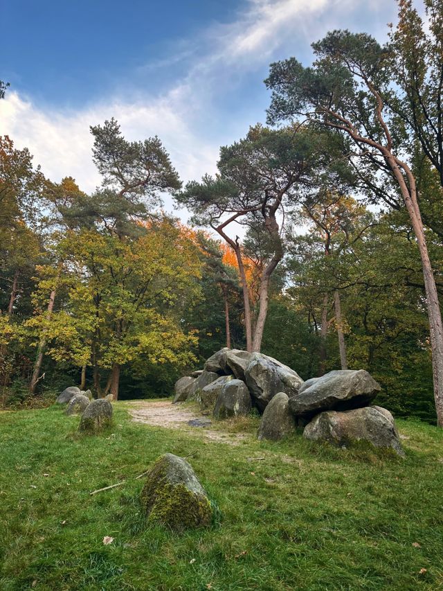 Een hunebed in een bosrijke omgeving