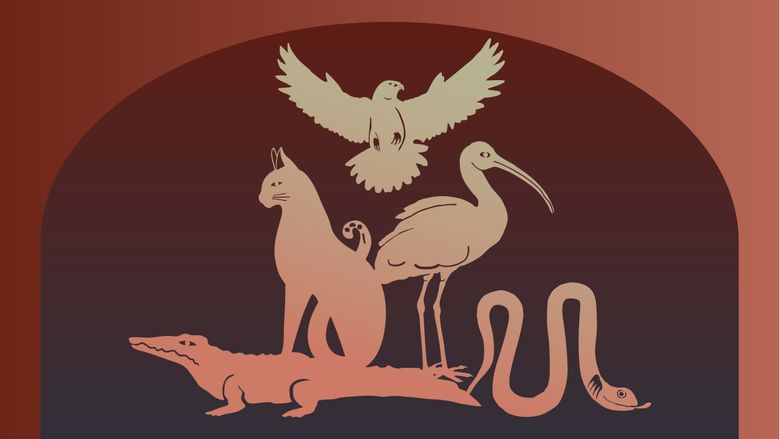 Gestileerd beeld van vijf dieren die in de expo te zien zijn: kat, valk, ibis, krokodil en slang.
