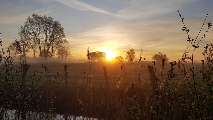 Zonsondergang Wijngaard Dassemus in Chaam