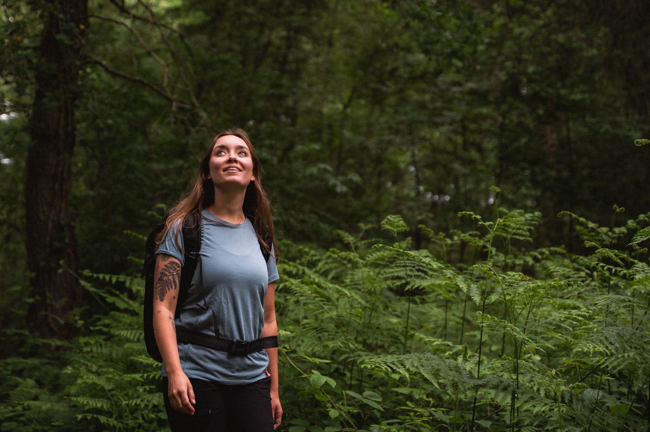 Een mevrouw wandelt door een Drents bos en kijkt om zich heen.