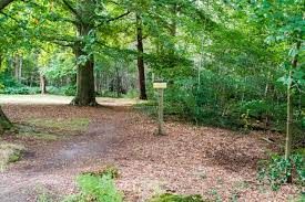 Kluivingsbos