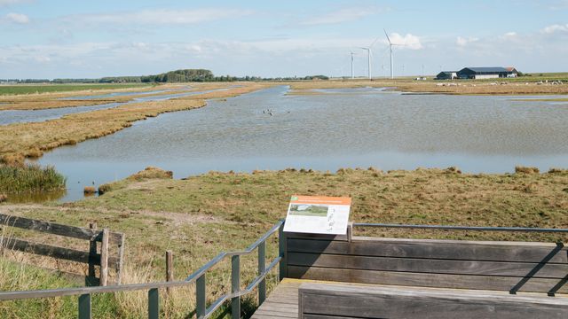 water en natuur in natuurgebied Paardengat
