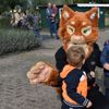 Kinderdierendag met Stichting Kat in Nood