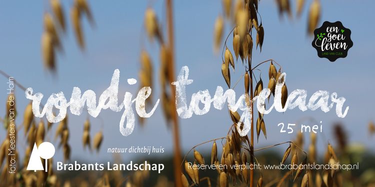 biologische akkerbouw op Tongelaar