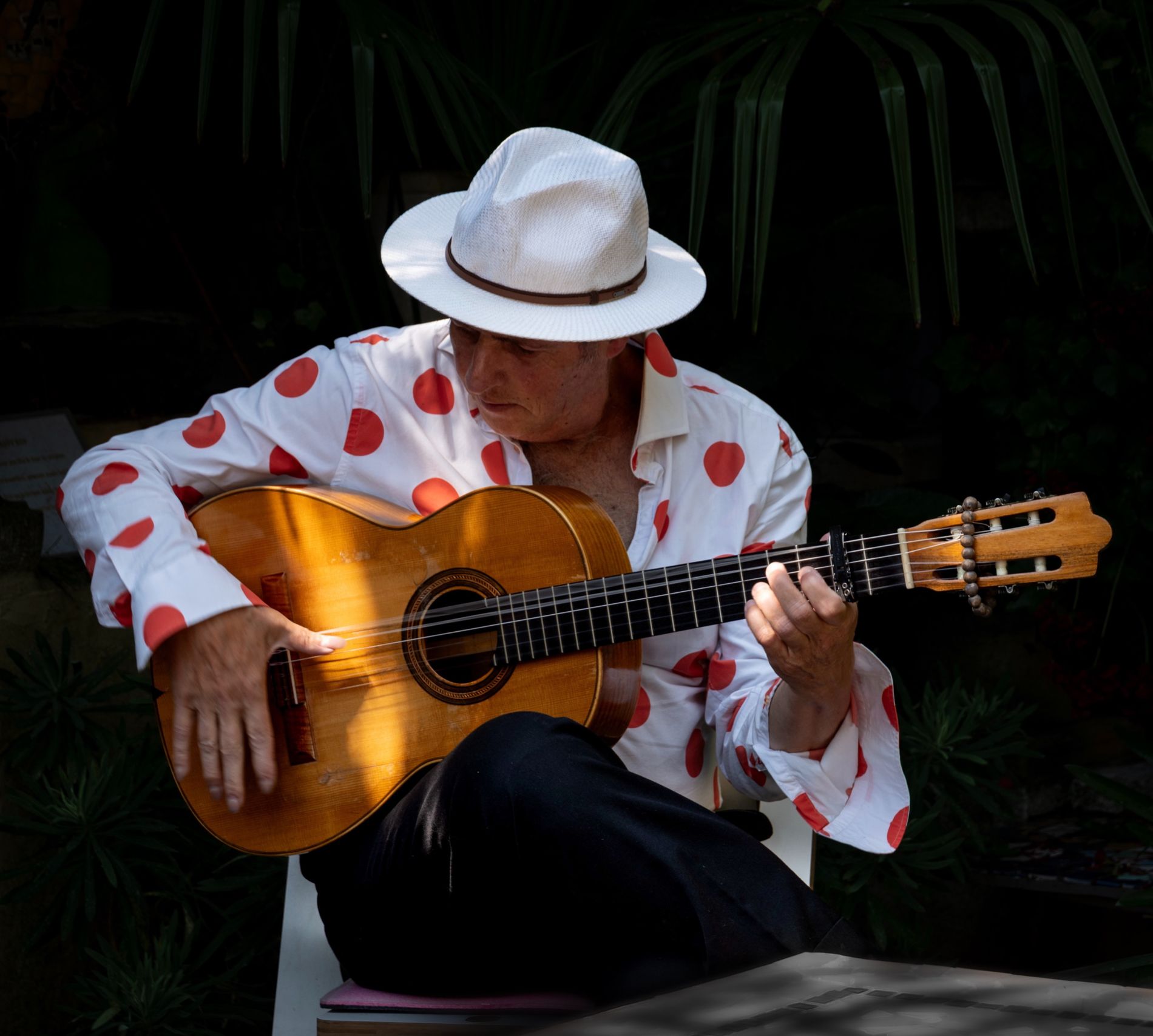 gipsy flamenco gitarist Manito