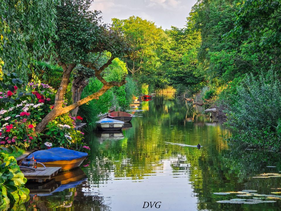 Sfeervolle watergang met sloepen, kleurrijke bloemen en weelderig groen in het Groene Hart. Dit karakteristieke polderlandschap nodigt uit tot varen, wandelen en genieten van de rust en natuur van de Nederlandse waterrijke regio.