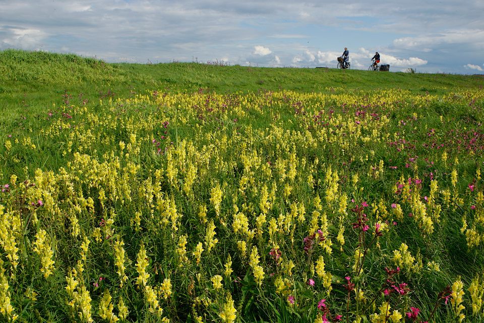 Duunsche Landen © Geert de Vries-Het Drentse Landschap