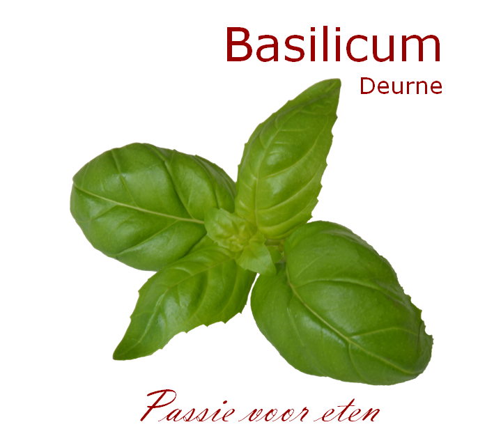 Basilicum Deurne-logo