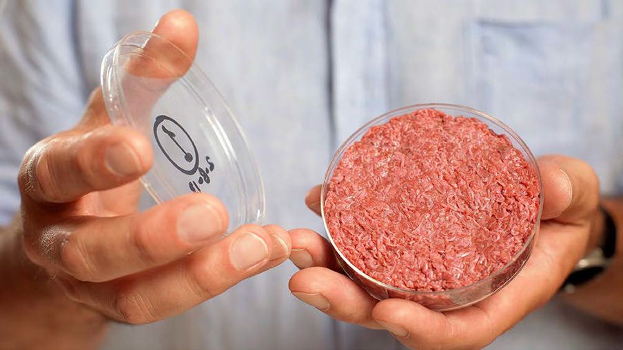 Mosa Meat kweekburger Maastricht