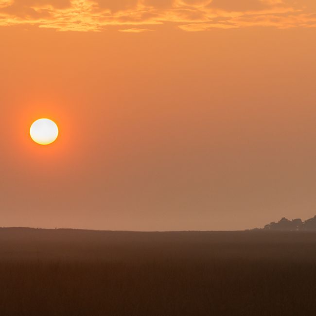 Zonsopkomst