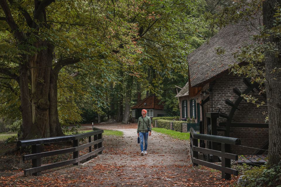 Landgoed Geijsteren Rosmolen Noord-Limburg
