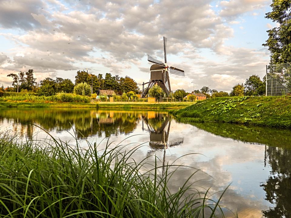 Zicht op molen ter Leede