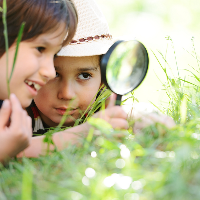 Twee kinderen die het gras bekijken door een vergrootglas bij De Papaver