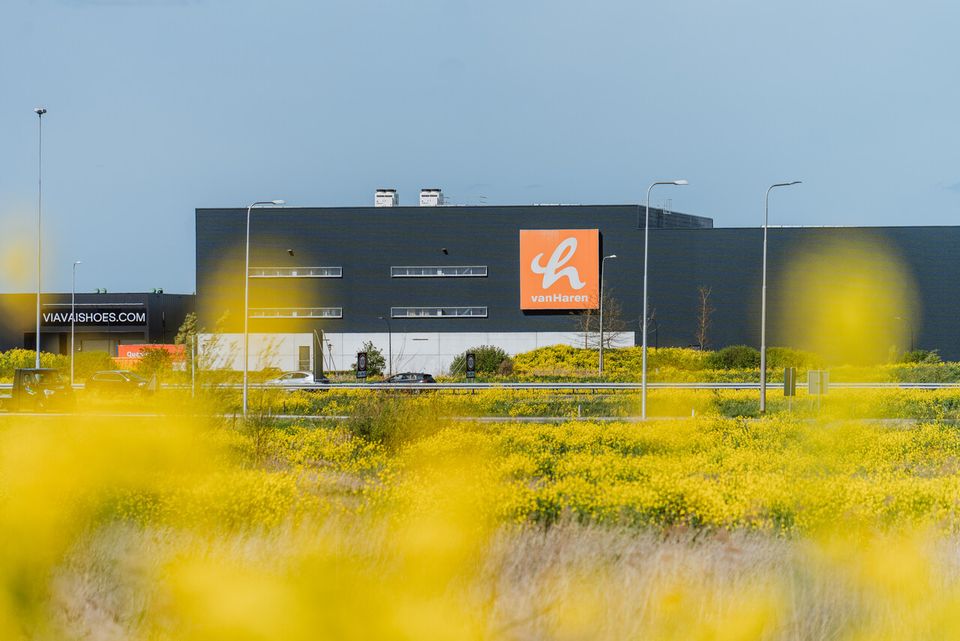 The VanHaren shoe factory with yellow flowers in the foreground.