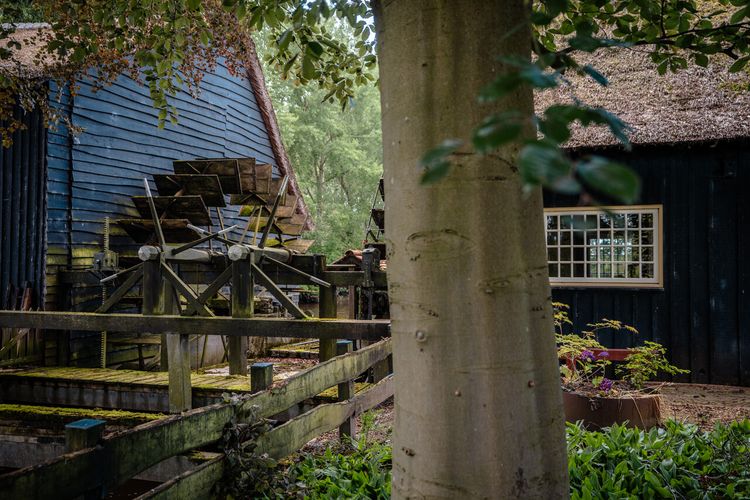 Rad van de Hooydonkse Watermolen