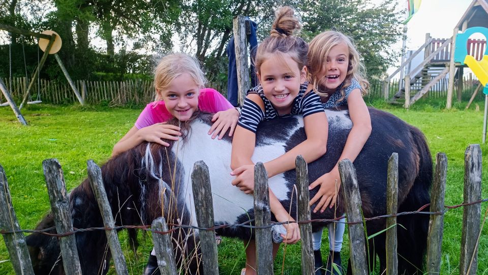 Kinderen spelen met pony in de speeltuin