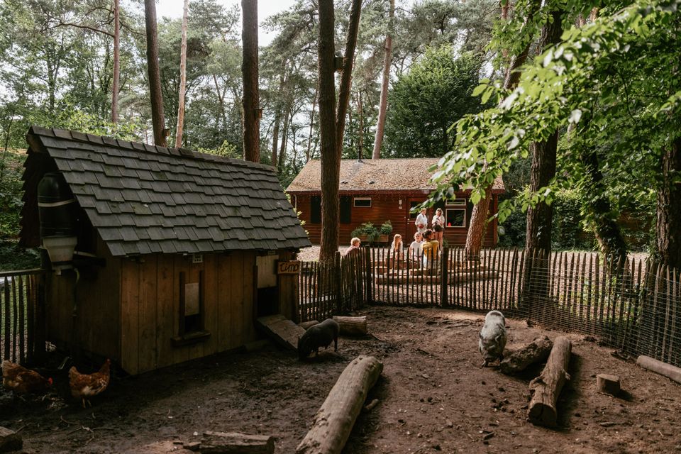 Boshuisje en centrale plek met kippenhok en verblijf voor varken
