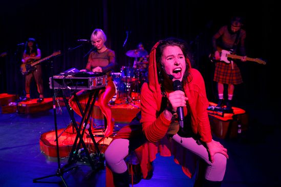 Club Gewalt: Herr Hamsterfleisch und die Angry Antz