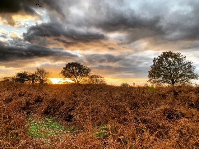 Natuur