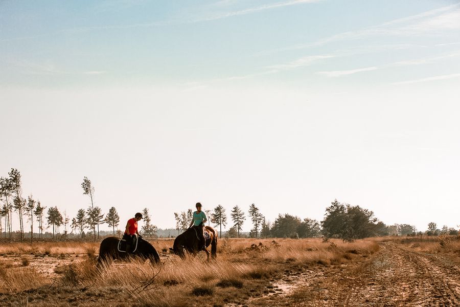 Paardrijden en buitenrit in Noord-Brabant