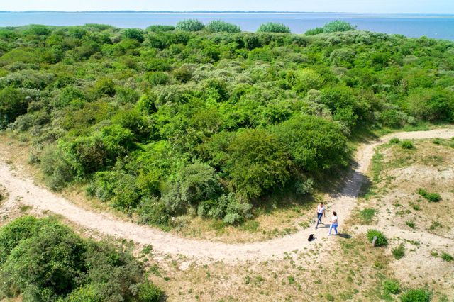 duinen
buitenweer