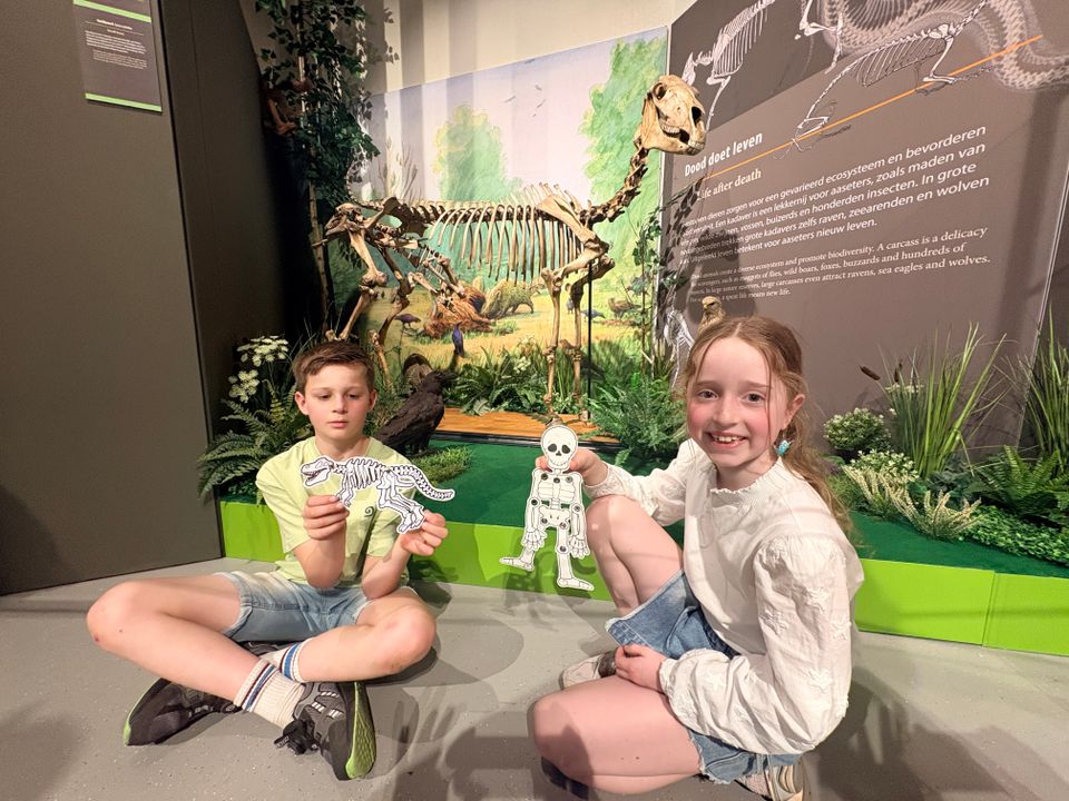 Een bijzondere expositie Uitgeleefd Beesten en Botten