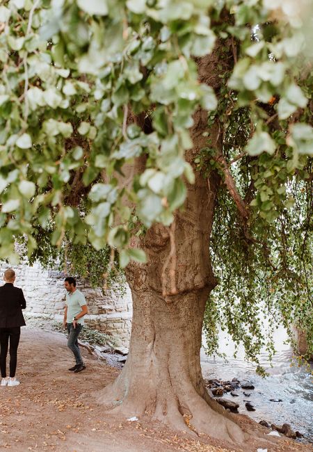 Stadspark Maastricht Jeker boom groep met gids