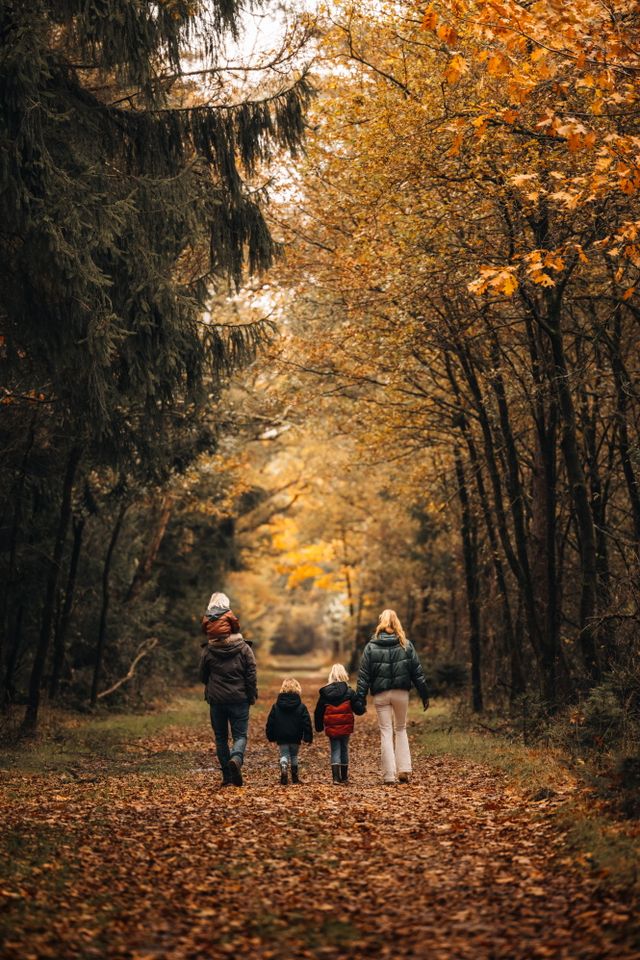 Een gezin met drie kinderen wandelen in de herfst door een bos in Drenthe.