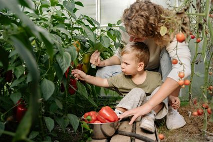 Kindermoestuin