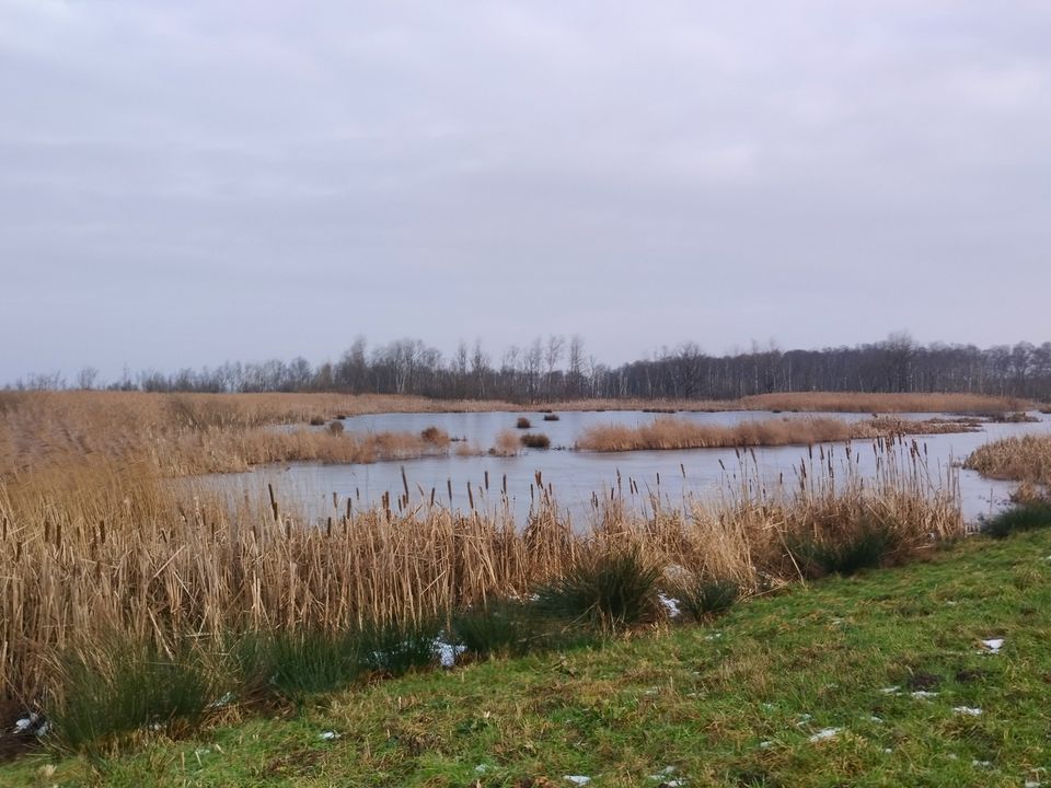 Ravenswoud - Fochteloërveen | wandelen langs de Turfroute