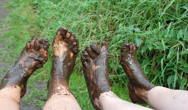 Blote Voetenpad Toon Kortooms Park Deurne
