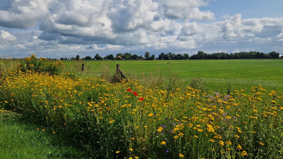 IIsbaankeunstrûte | Midden Fryslân | Fietsroute