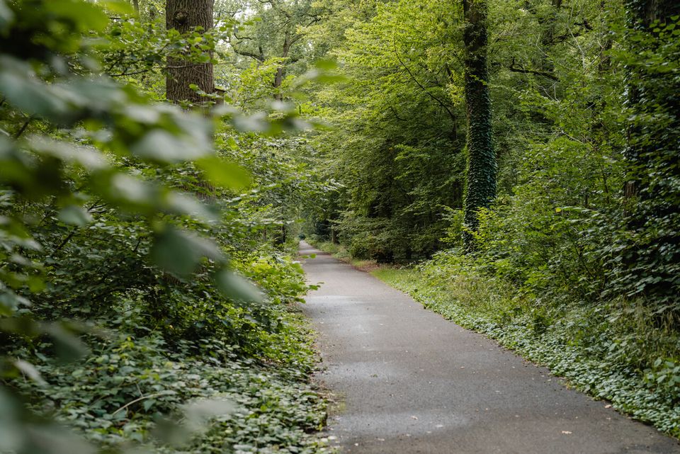 Pad in stadspark de Warande