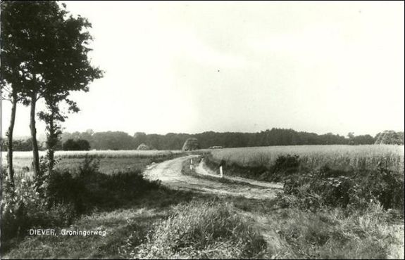Es van Diever