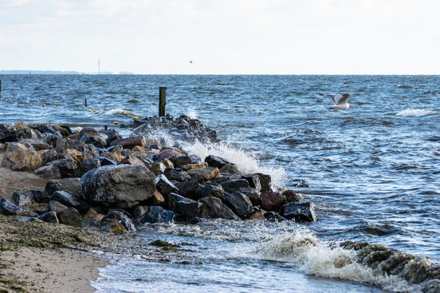 Klotsende golven tegen een dijk in Urk, Flevoland